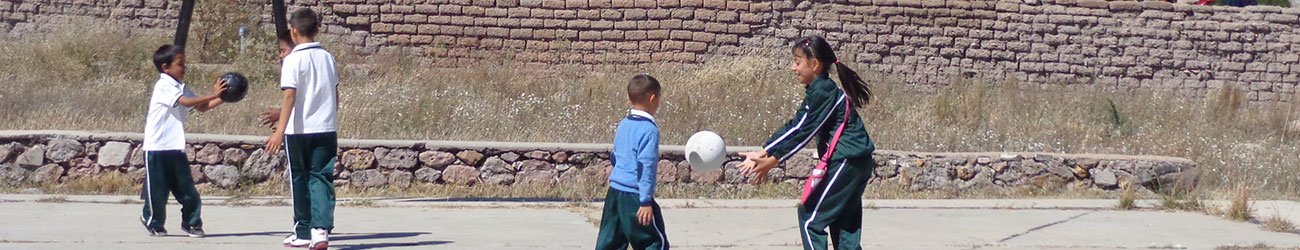 Red Temática de Investigación de Educación Rural